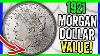 Pre 1921 Silver Morgan Dollar Cull Lot Of 100 S$1 Coins Credit Card Pmt Only